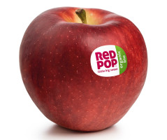 RedPop&reg; Bio, der Snack in Apfelform