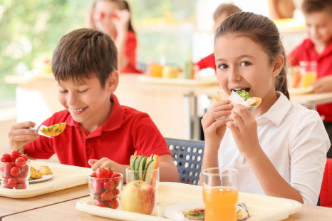 Umfrage: F&uuml;r 65 Prozent geh&ouml;rt Bio zu gesunder Ern&auml;hrung