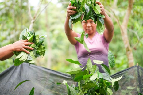 Superfoods und Bio-Spezialit&auml;ten auf der Sial 2026