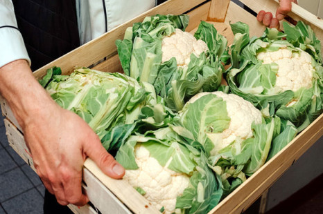 Vom Hof in die Kantine: Studie erfasst Lieferstrukturen