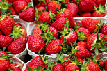 Bioaktive Verpackung hält Erdbeeren frisch