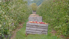40 Prozent &Ouml;kolandbau !