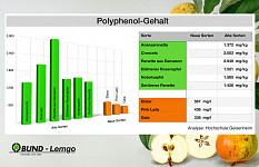 Hoher Polyphenolgehalt bei alten Apfelsorten