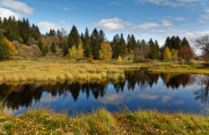 Angriff auf Gesetz zur Rettung der Natur