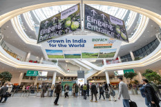 Von Matcha bis Kombucha: Streiflichter Biofach 2026
