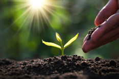 Biodynamisch schließt biozyklisch aus?