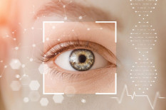Beeinflusst das Mikrobiom auch die Augen?
