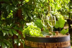 Grünes Licht für alkoholfreien Bio-Wein
