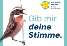 Natürlich wählen: Umweltschützer liefern Parteien-Check