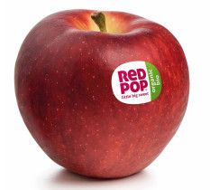 RedPop&reg; Bio, der Snack in Apfelform