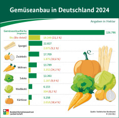 Gemüseanbau in Deutschland 2024
