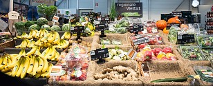Neuer Markt, größeres (Bio-)Angebot
