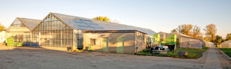 Vom Feld in die Hauptstadt