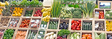 Mehr Obst- und Gemüse auf den Tisch &ndash; aber bitte in Bio!
