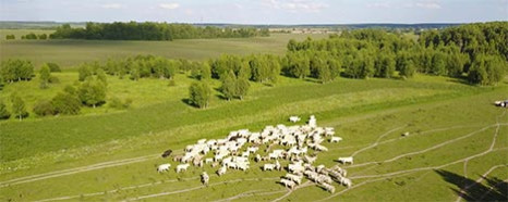 Ekosem-Agrar AG hat Verkauf abgeschlossen