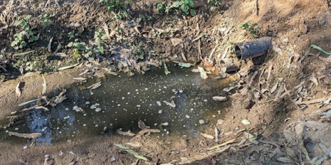 Antibiotikaresistenzen durch belastetes Abwasser