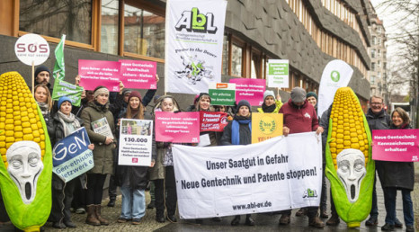 Neue Gentechnik: &Uuml;ber 130.000 B&uuml;rger fordern klare Regeln