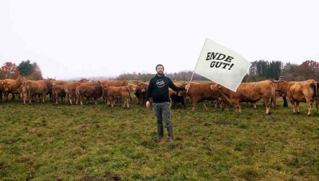 Bio-Rind wertschätzen: von Anfang bis Ende