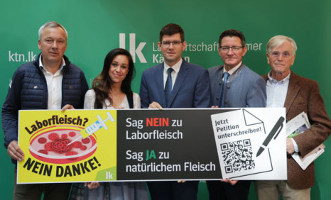 Kärnten stellt sich gegen Laborfleisch