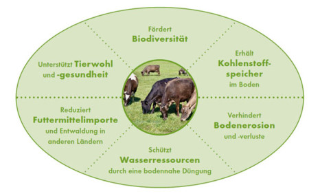 Kühe und Klimaschutz