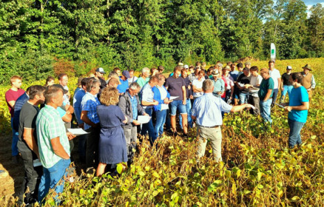 Bio-Soja boomt in Bayern