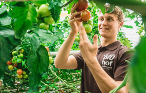 Regionales Bio-Fruchtgem&uuml;se hat wieder Saison