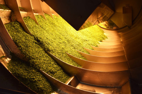 Schonende Keimreduktion mit Infrarot