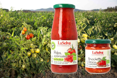 Neue Bruschetta & Polpa