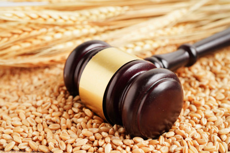 Revision der EU-Bio-Verordnung: Erste konkrete Schritte f&uuml;r eine gezielte Anpassung