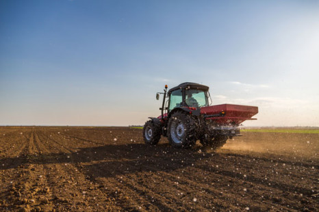 Niederlande müssen Stickstoff-Emissionen in der Landwirtschaft verringern