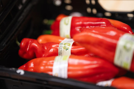 Mit Bio-Einkauf Ern&auml;hrungsbildung f&ouml;rdern