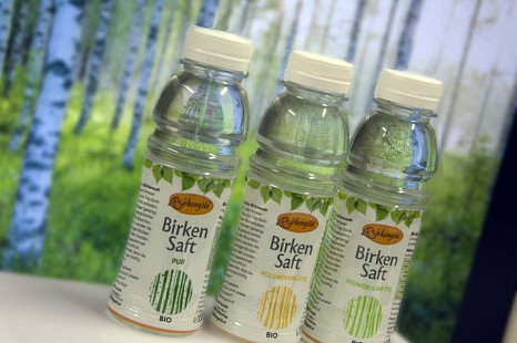 Bio Birkensaft soll den deutschen Markt erobern