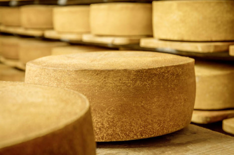 Demeter-K&auml;se Berta ist &sbquo;Bester Deutscher K&auml;se&lsquo;