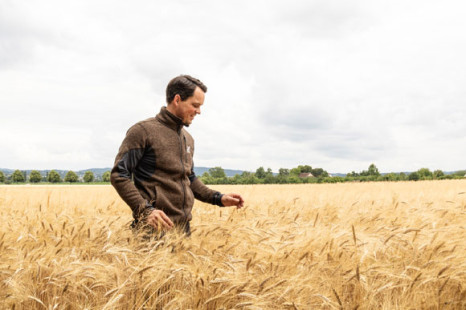 Alb-Gold investiert in regionale Bio-Hartweizenprojekte