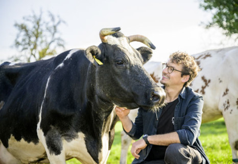Alnatura setzt auf Bio-Weidemilch