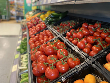 Saisonstart Bio-Tomaten