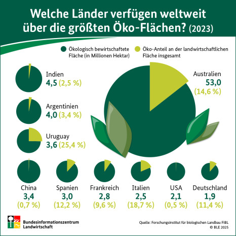 Welche Länder verfügen weltweit über die größten Öko-Flächen?