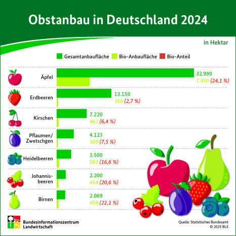 BZL auf einen Blick: Obstanbau in Deutschland 2024