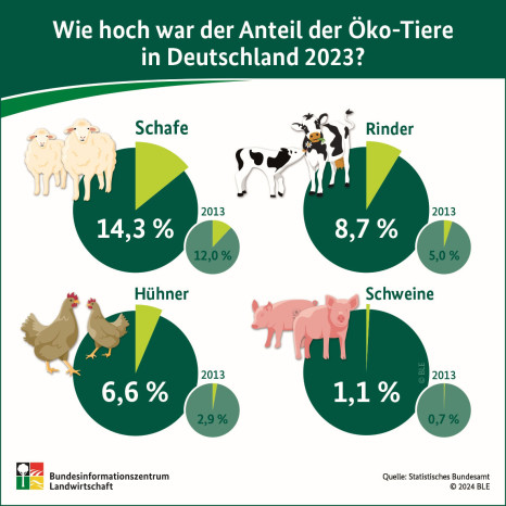 BZL auf einen Blick: Wie hoch war der Anteil der Öko-Tiere in Deutschland 2023?