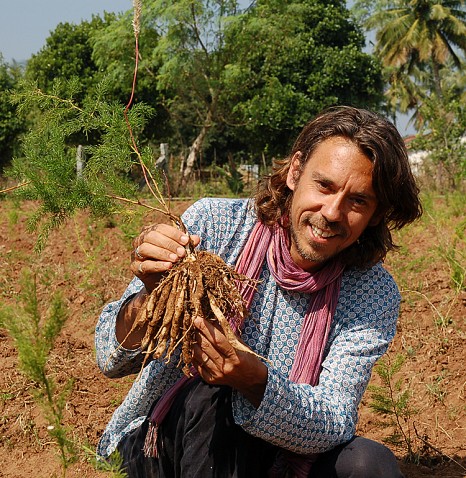 Die Heldenkräuter des Ayurveda