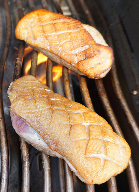 Bio-Grillprodukte von Fleisch bis zur Kohle