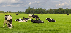 https://www.biopress.de/dateien/cache/imagefly/rss/250x116/adobestock_705022398web.jpg