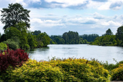 https://www.biopress.de/dateien/cache/imagefly/rss/250x166/debannja-river-8018379_1280.jpg
