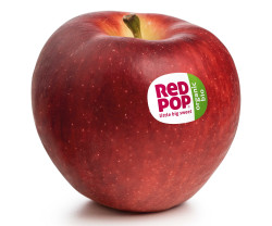https://www.biopress.de/dateien/cache/imagefly/rss/250x208/redpop-label-rgb-bio-web.jpg