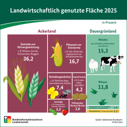 https://www.biopress.de/dateien/cache/imagefly/rss/250x250/infografik_lw_flaechennutzung_2025_web.jpg