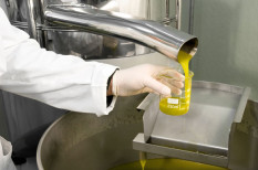 Ölmühle von Nutriswiss jetzt Bio-zertifiziert