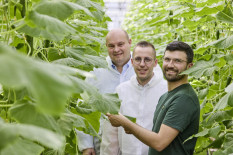 Alnatura bezieht Bio-Gemüse von neuem Regionalpartner