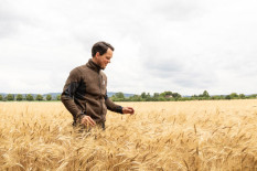 Alb-Gold investiert in regionale Bio-Hartweizenprojekte