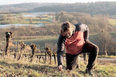 Biodynamica 2025 im Weingut Heitlinger