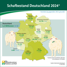 Schafbestand in Deutschland